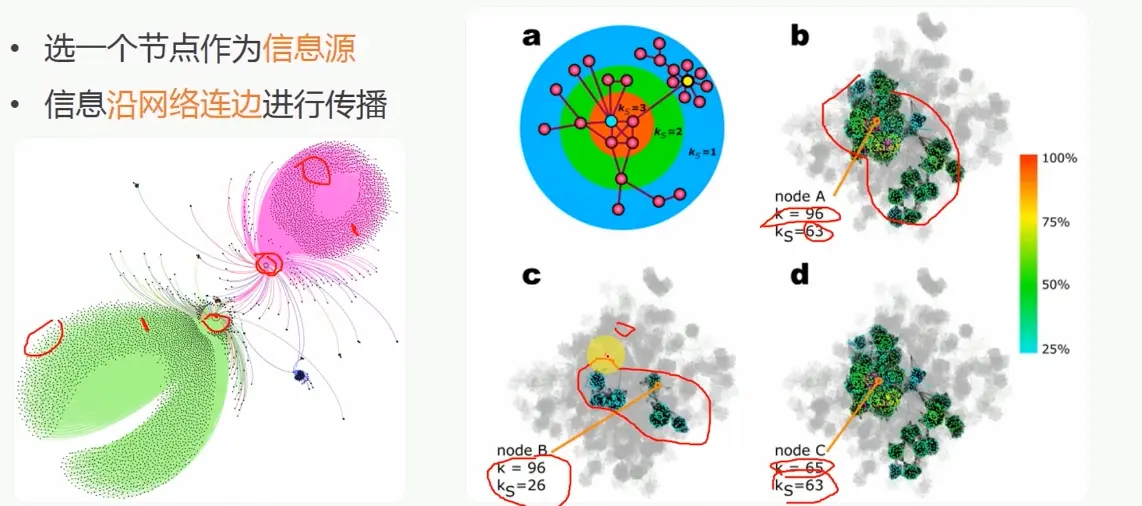 核数越大传播越广